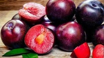 فوائد سحرية.. ماذا يحدث للجسم عند تناول البرقوق؟
