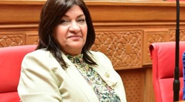النائبة ايفلين متى تتقدم بطلب إحاطة بشأن ارتفاع نسبة الملوحة وتغيير لون المياه ببحيرة المنزلة