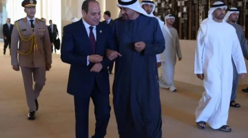 تشديد مصري-إماراتي على «حل الدولتين» ونفاذ المساعدات لغزة