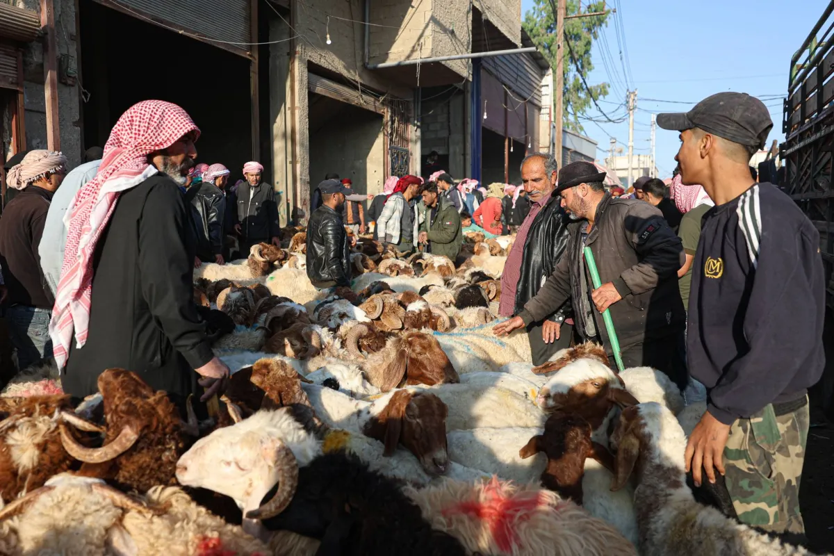 إقبال كبير على «الأضاحي» في سوريا هذا العام بعضها «نذور سقوط النظام»