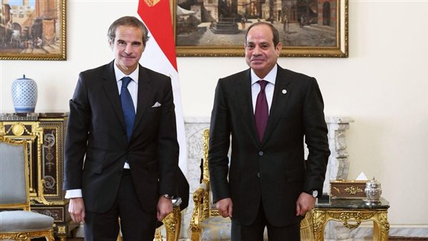 الرئيس السيسى يستقبل مدير عام الوكالة الدولية للطاقة الذرية