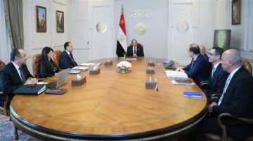 الرئيس السيسي يوجه بمُواصلة العمل على تطوير أداء شركات قطاع الأعمال