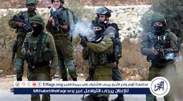 الجيش الإسرائيلي يوجه إنذارا بالإخلاء لسكان قرية عين قانا في جنوب لبنان