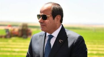 الرئيس السيسي يهنئ الشعب المصري بمناسبة حلول عيد الأضحى 