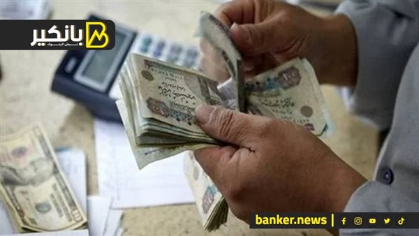 فلوسك في أمان أكتر فين؟.. الفرق بين الشهادات والودايع وأدوات الدين