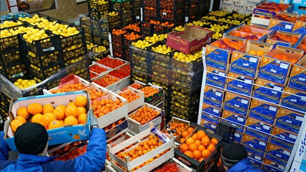 بـ130 مليون دولار.. شوف الفرص التصديرية غير مستغلة للمنتجات الغذائية المصرية بأمريكا 5 بـ130 مليون دولار.. شوف الفرص التصديرية غير مستغلة للمنتجات الغذائية المصرية بأمريكا