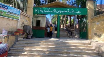 أكثر من 38 ألف زائر لـ حدائق الحيوان والأسماك خلال أول يومين للعيد