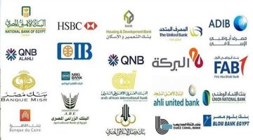من الادخار إلى الاستثمار.. كيف تدعم البنوك المصرية الشباب والنساء؟