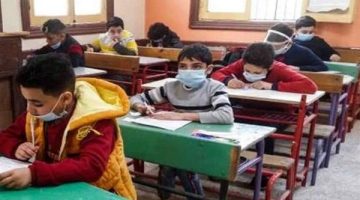 كيف تحصل على نتيجة سنوات النقل 2025 بمحافظة القاهرة؟ التفاصيل هنا