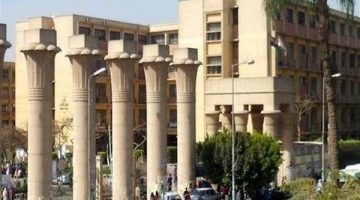 كلية الآثار جامعة عين شمس تعلن نتائج امتحانات البكالوريوس للعام الجامعي 2024-2025 لجميع البرامج الدراسية