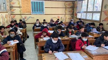 رابط نتيجة الصف الرابع الابتدائي الترم الثاني 2025 بالجيزة برقم القومي