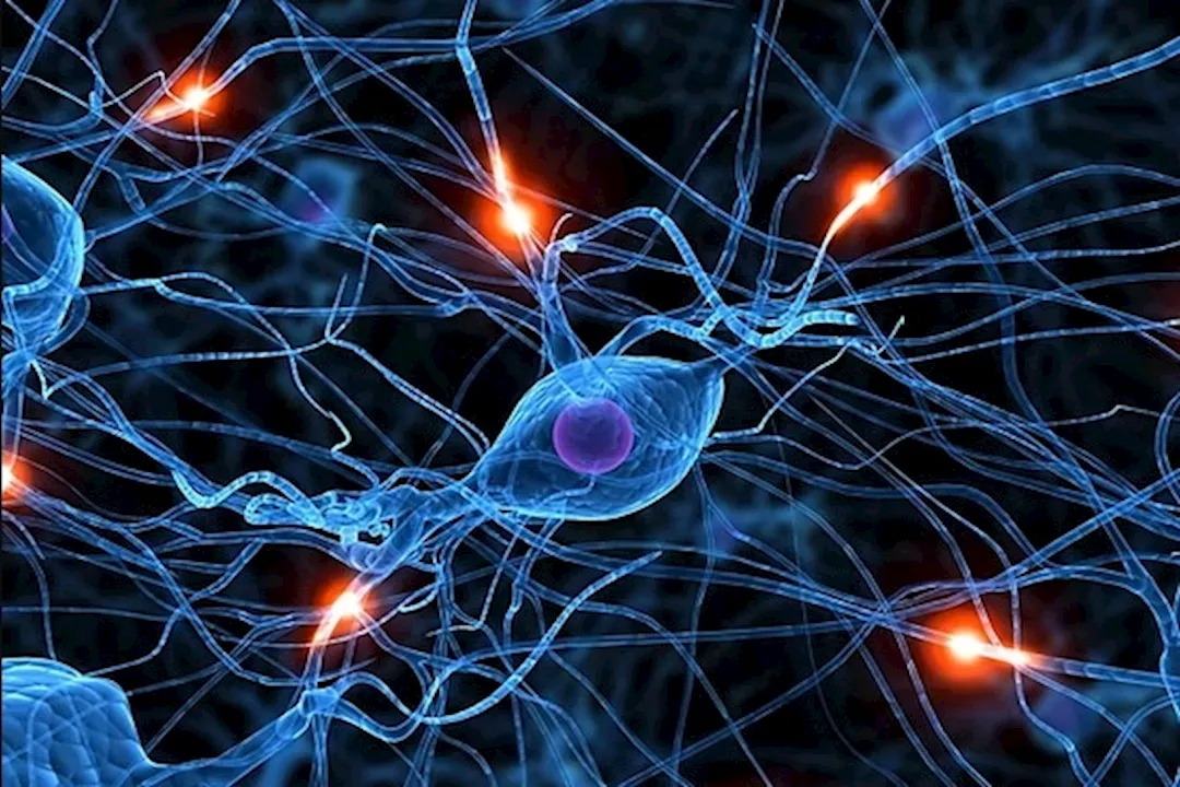 عادات خاطئة تسبب تلف الأعصاب 5 عادات خاطئة تسبب تلف الأعصاب