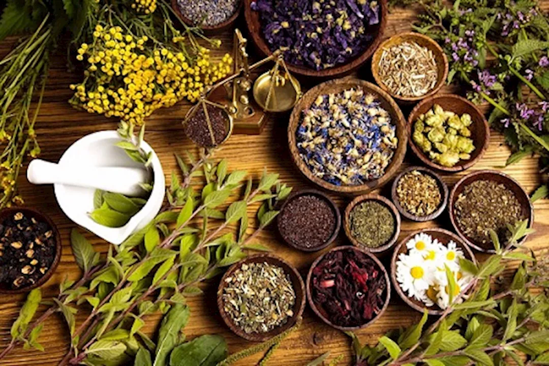 أعشاب تزيد من التركيز خلال فترة الامتحانات 5 أعشاب تزيد من التركيز خلال فترة الامتحانات