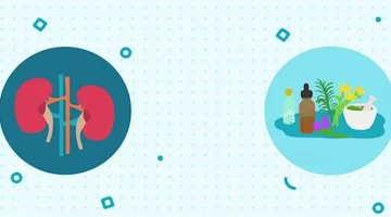 أعشاب لتنظيف الكلى