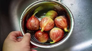 فوائد شرب ماء التين صباحًا