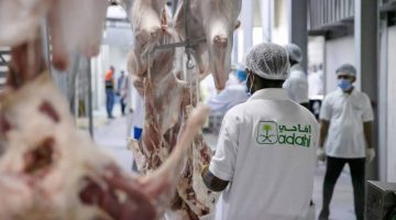 مشروع السعودية للإفادة من الهدي والأضاحي يُعلن جاهزيته التشغيلية للحج – أخبار السعودية