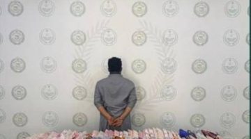 القبض على شخص لترويجه 142 كيلوغراماً من «الحشيش» بجازان – أخبار السعودية