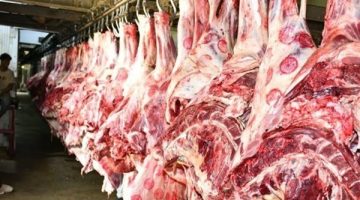 الزراعة توضح استعداداتها لاستقبال عيد الأضحى المبارك