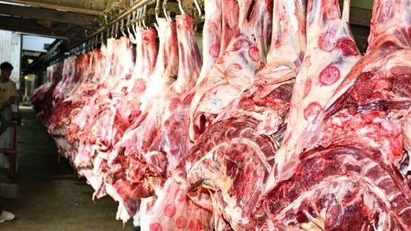 الزراعة توضح استعداداتها لاستقبال عيد الأضحى المبارك