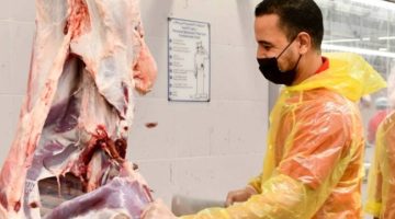 «هيئة الغذاء»: المسالخ المركزية جاهزة لاستقبال الأضاحي