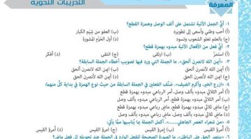 الثانوية العامة 2025.. 750 سؤالا في النحو.. الامتحان في جيبك
