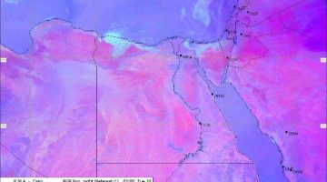 طقس شديد الحرارة وشبورة مائية كثيفة صباحًا
