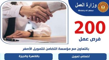 200 فرصة عمل لشباب القاهرة والجيزة.. مواعيد وأماكن التقديم