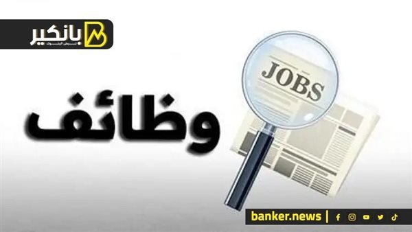 فرص عمل جديدة في الأردن للمصريين.. اعرف التخصصات والشروط 5 فرص عمل جديدة في الأردن للمصريين.. اعرف التخصصات والشروط