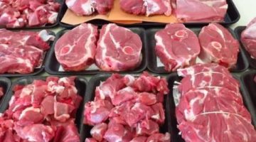 نشرة المرأة والمنوعات| الكميات المناسبة لتناول اللحم في العيد.. تحذير من غسل اللحوم