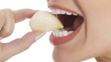 تناوله على الريق.. فوائد استخدام الثوم يوميا