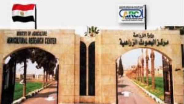 زيارات مكثفة لقيادات مركز البحوث الزراعية لمحطات البحث خلال إجازة عيد الأضحى 5 زيارات مكثفة لقيادات مركز البحوث الزراعية لمحطات البحث خلال إجازة عيد الأضحى