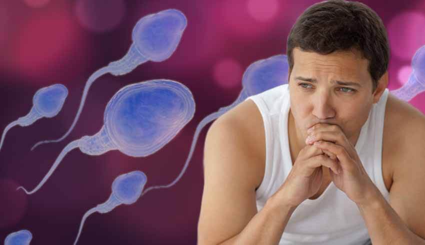 أطعمة ترفع مستوى هرمون الاستروجين الذكوري
