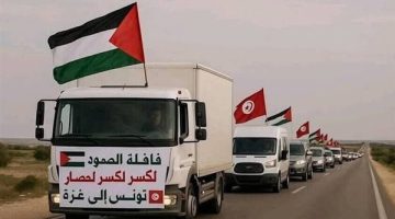 لماذا ترفض مصر دخول قافلة الصمود؟.. خبير استراتيجي يوضح