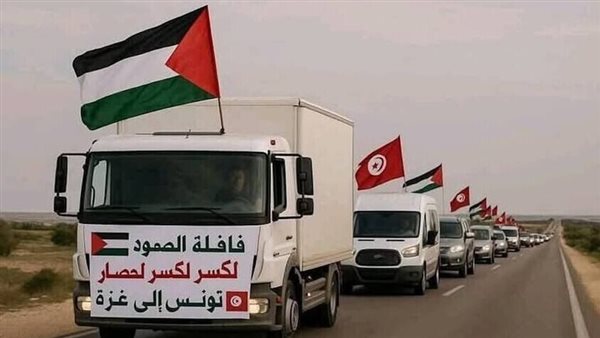لماذا ترفض مصر دخول قافلة الصمود؟.. خبير استراتيجي يوضح 5 لماذا ترفض مصر دخول قافلة الصمود؟.. خبير استراتيجي يوضح