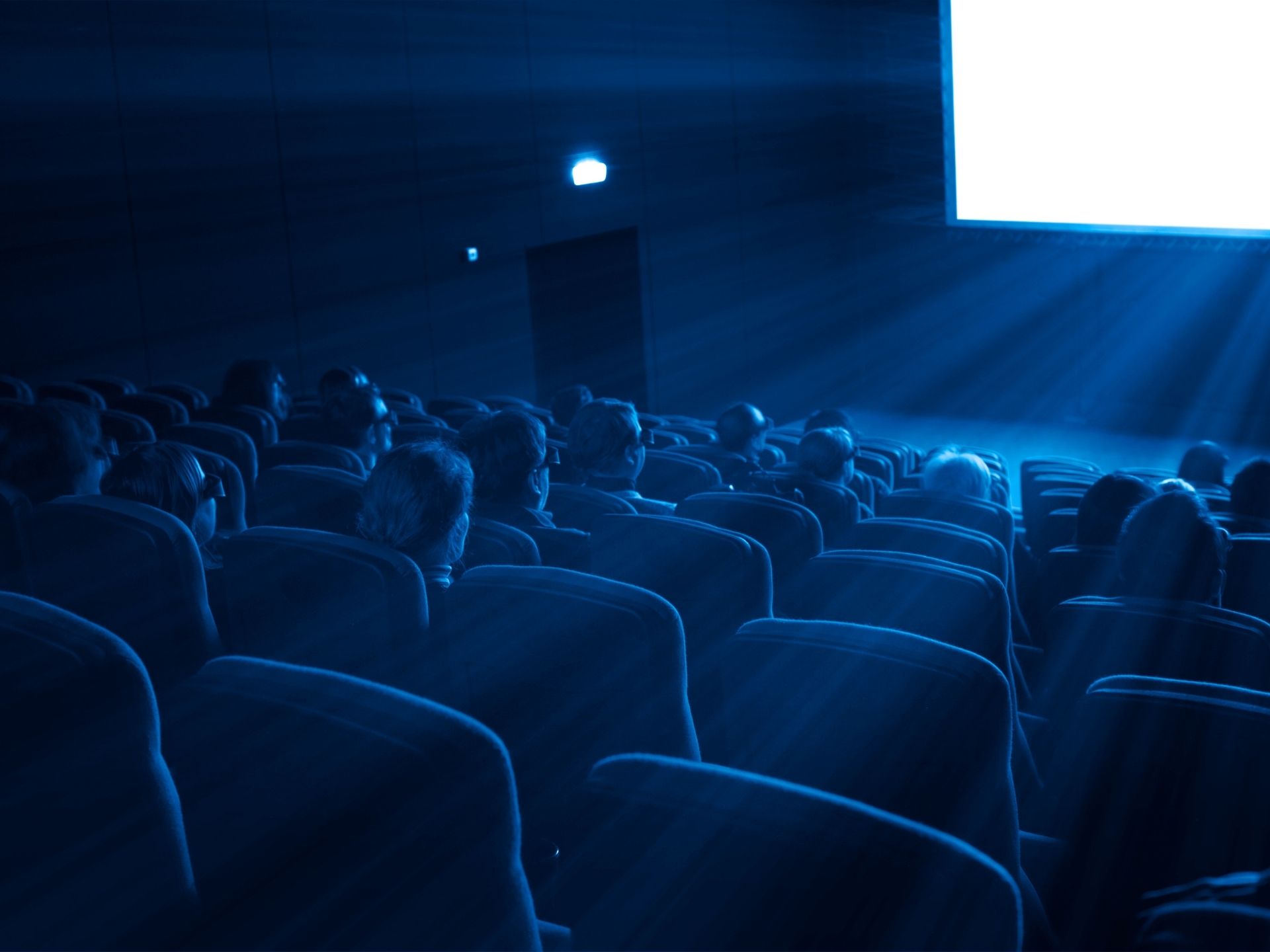 العرض ما قبل الأول للفيلم الطويل الربحة للمخرج رشيد محب 5 العرض ما قبل الأول للفيلم الطويل الربحة للمخرج رشيد محب
