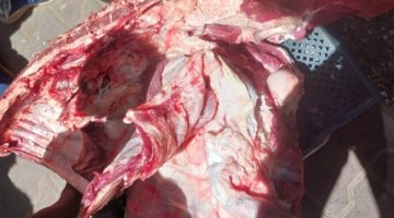 ضبط لحوم مذبوحة خارج المجازر وتحرير 317 محضرًا تموينيًا بأسيوط