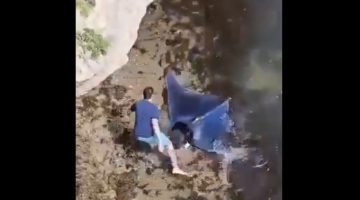 هل شاهدت سمكة الشيطان النادرة من قبل؟.. فيديو قد يبهرك