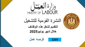 3209 وظيفة جديدة للشباب في في 14 محافظة برواتب تصل لـ 15 ألف جنيه شهريا.. وزارة العمل تُطلق نشرة التوظيف النصف شهرية