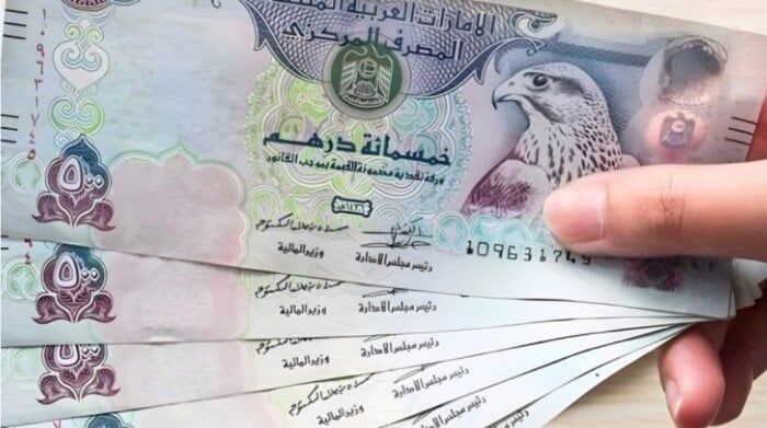 الدرهم الإماراتي مقابل الجنيه اليوم السبت 7 يونيو 2025