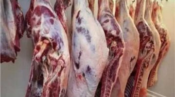 حفاظًا على سلامتك.. نصائح من وزارة الصحة لاختيار لحوم آمنة خلال عيد الأضحى 2025
