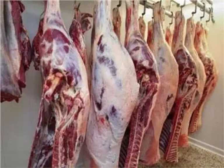 حفاظًا على سلامتك.. نصائح من وزارة الصحة لاختيار لحوم آمنة خلال عيد الأضحى 2025 5 حفاظًا على سلامتك.. نصائح من وزارة الصحة لاختيار لحوم آمنة خلال عيد الأضحى 2025