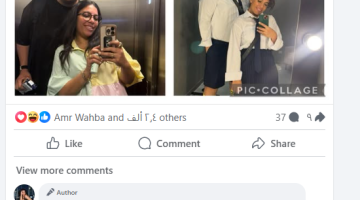 ”بيتريق عليها وشايفها وحشة”.. تفاصيل الخلاف بين مصطفى غريب ودنيا سامي
