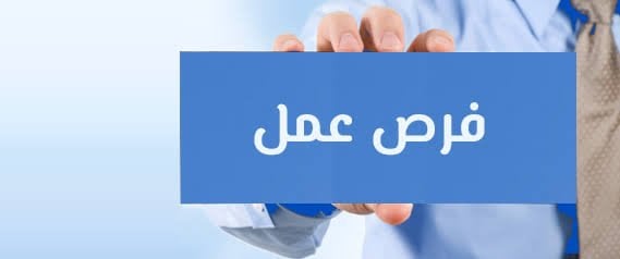 شاغرة بـ 14 محافظة ما التخصصات المطلوبة لوظائف وزارة