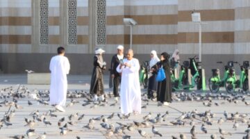 الروثانة المدينة المنورة وجهة سياحية جديدة تستقبل الزوار بخيارات جاذبة