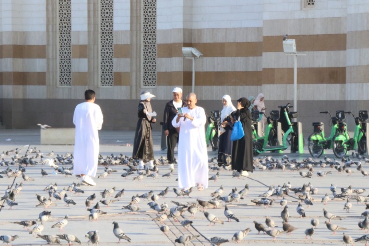 الروثانة المدينة المنورة وجهة سياحية جديدة تستقبل الزوار بخيارات جاذبة